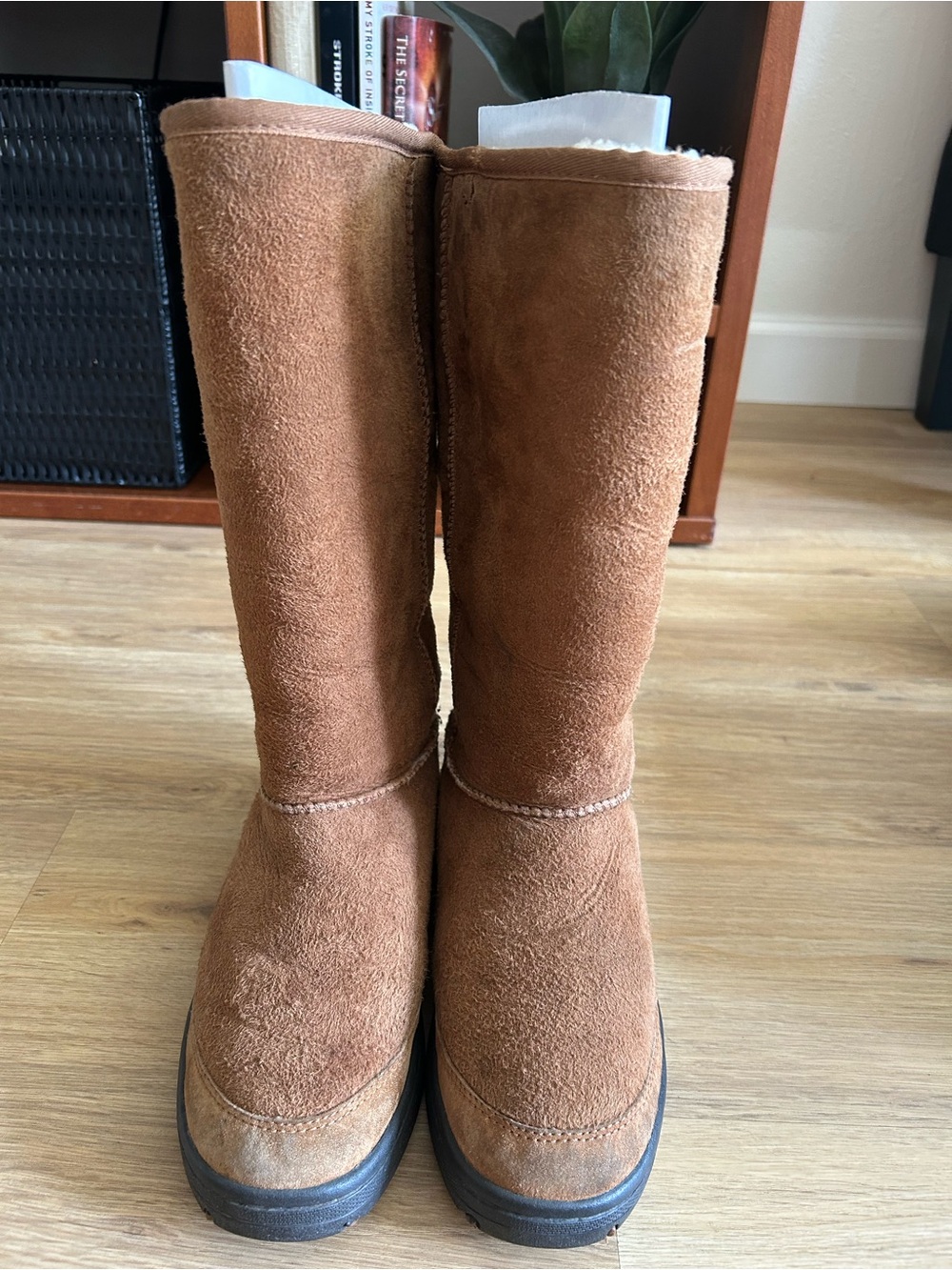 UGG Women's Tall Braid Suede Winter Boots - Chestnut Brown